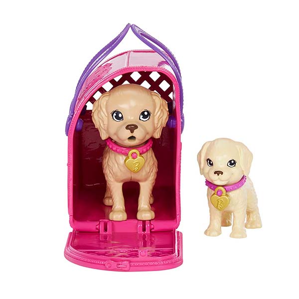 Muñeca Barbie Set Adopta un Perrito Latina