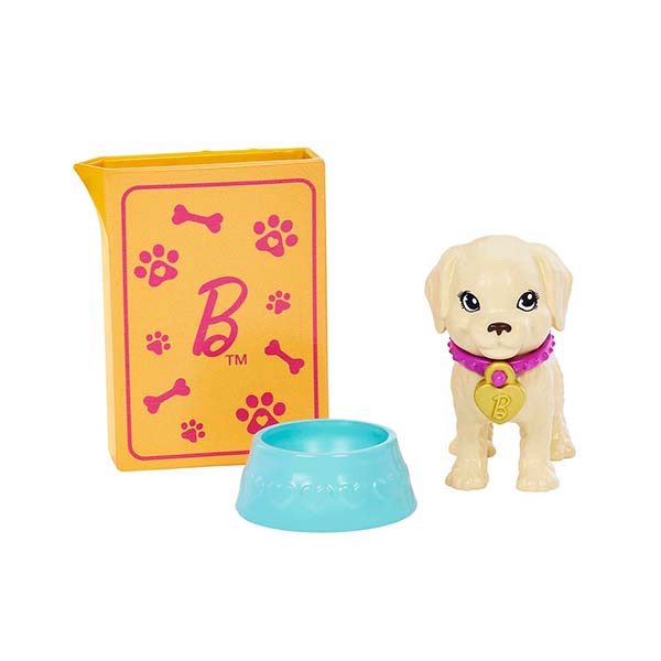 Muñeca Barbie Set Adopta un Perrito Latina