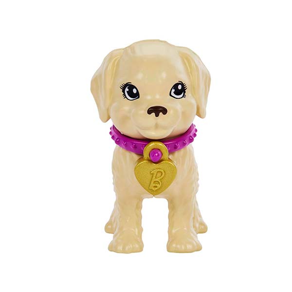 Muñeca Barbie Set Adopta un Perrito Latina