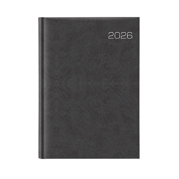 Planificador 26 ejecutivo