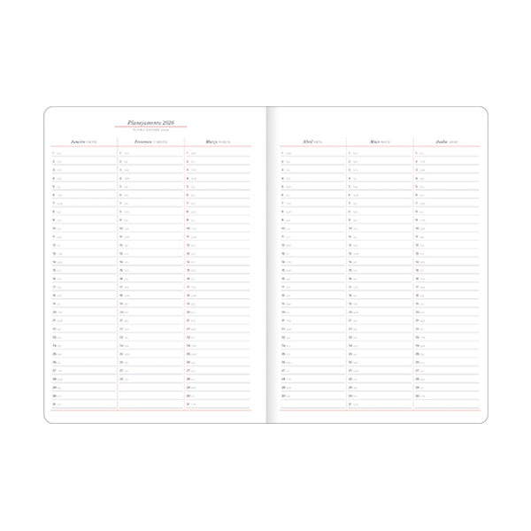 Planeador 26 cambridge