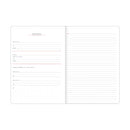 Planeador 26 cambridge