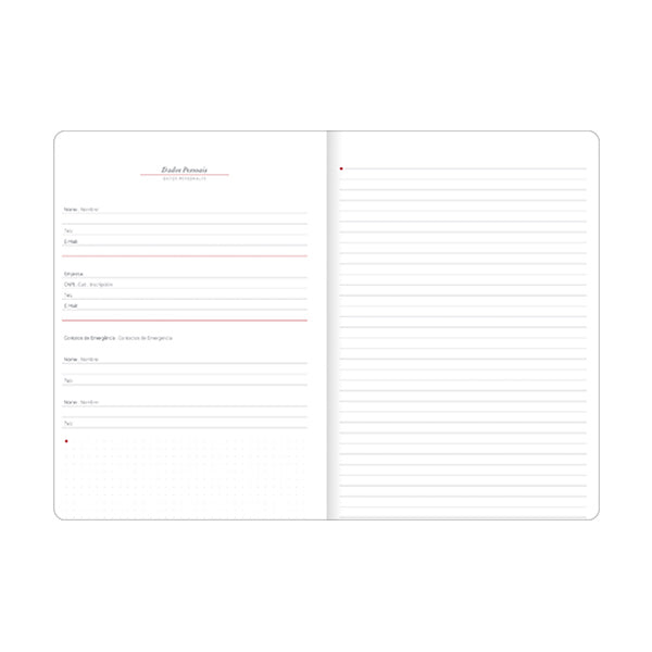 Planeador 26 cambridge