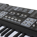 Instrumento musical organeta.