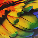 Rompecabezas de 2000 piezas