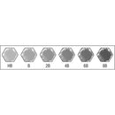 Lapiz grafito cja metal castell 6 ud