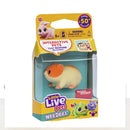 Needees Little Live Pets surt