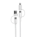 Cable USB a USB Chargeworxs