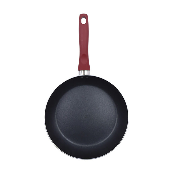 Sartén 10" Proctor sílex