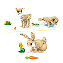 31162 Lindo conejito  (326 piezas)