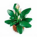 lirio de  la paz 11504 botanicals