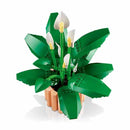 lirio de  la paz 11504 botanicals