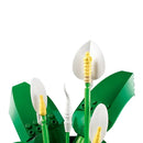 lirio de  la paz 11504 botanicals