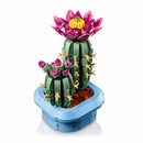 cactus en flor 11509 botanicals