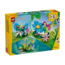 fauna salvaje  colibrí colorido 31384 creator