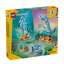 animales marinos hermosos delfines 31385 creator