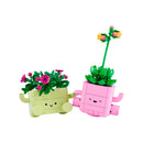 plantas mecedoras 11506 botanicals