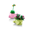 plantas mecedoras 11506 botanicals