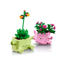 plantas mecedoras 11506 botanicals