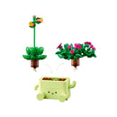 plantas mecedoras 11506 botanicals