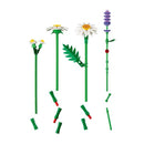 margaritas  11508 botanicals