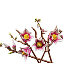11510 RAMAS DE MAGNOLIA (435 piezas)