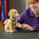 11384 CACHORRO DE GOLDEN RETRIEVER (2102 piezas)