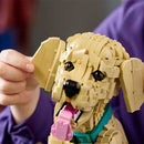 11384 CACHORRO DE GOLDEN RETRIEVER (2102 piezas)