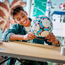 43019 BALÓN DE FÚTBOL (1498 piezas)