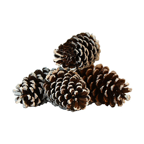 Ornamento navideño TF4479NA/WH-6BAG