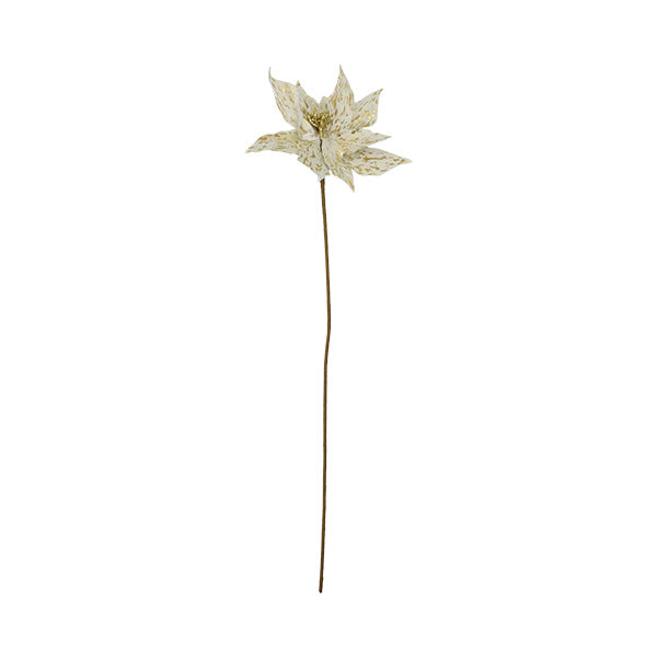 Pastora poinsettia dorada 70cm