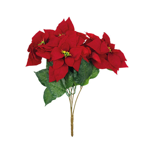 Pastora poinsettia blanca 42cm