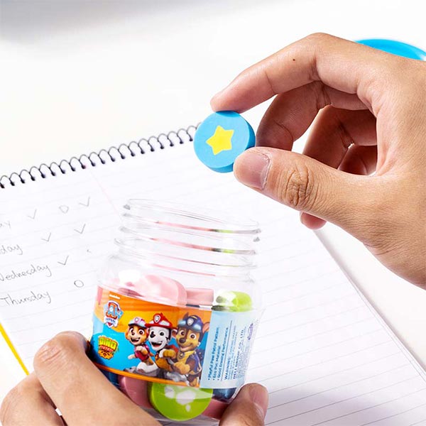 Borrador surtido 21 piezas