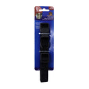 Collar de color Surtido para Mascotas.