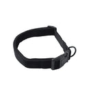 Collar de color surtido para Mascotas.