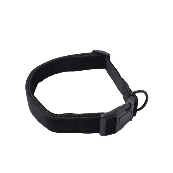 Collar de color surtido para Mascotas.