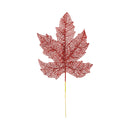 Spray rama roja 30x60cm