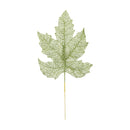 Spray rama verde 30x60cm