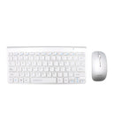 Combo teclado + mouse Aneex