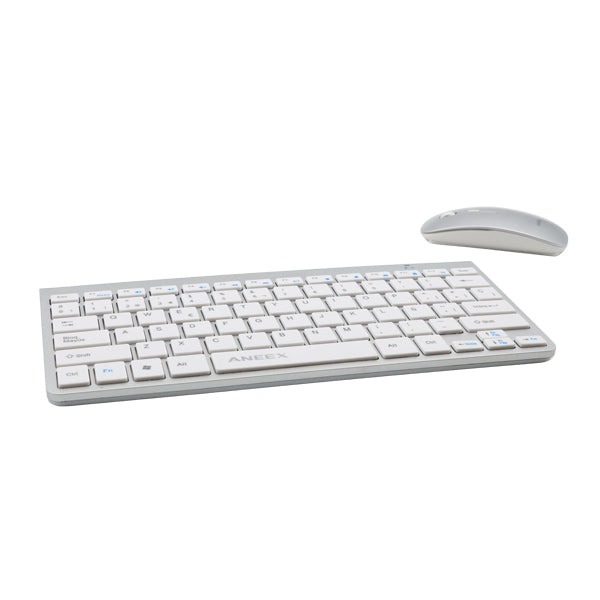 Combo teclado + mouse Aneex