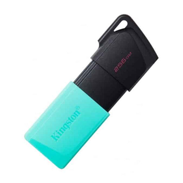 Memoria USB 256GB Kingston