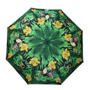 Sombrilla souvenir Costa Rica