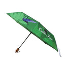 Sombrilla souvenir Costa Rica