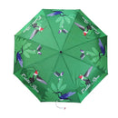 Sombrilla souvenir Costa Rica