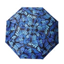 Sombrilla souvenir Costa Rica