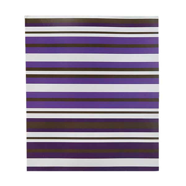 Carpeta decorada Rayas Ampo