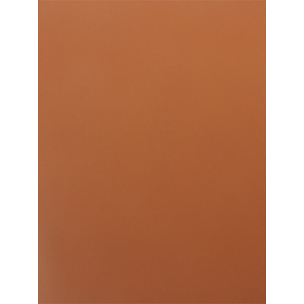 Cartulina satinada café claro 23x25"