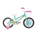Bicicleta Flash