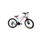 Bicicleta condor