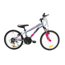 Bicicleta Flash